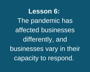 Lesson 6: The pandemic has affected businesses differently, and businesses vary in their capacity to respond.