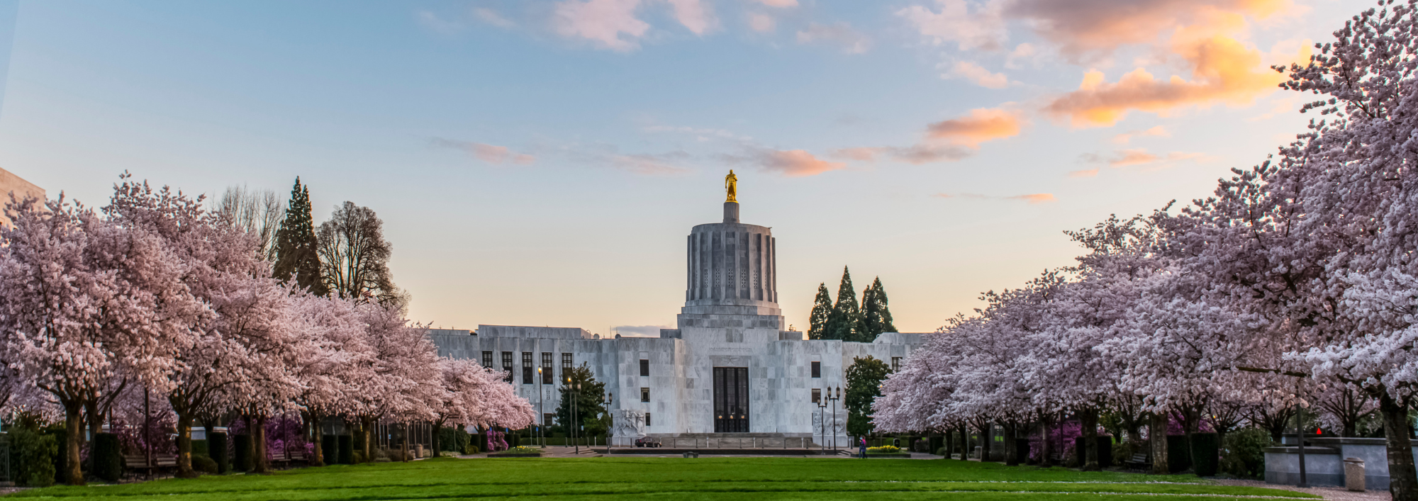 You are currently viewing News from RDI – March 2025